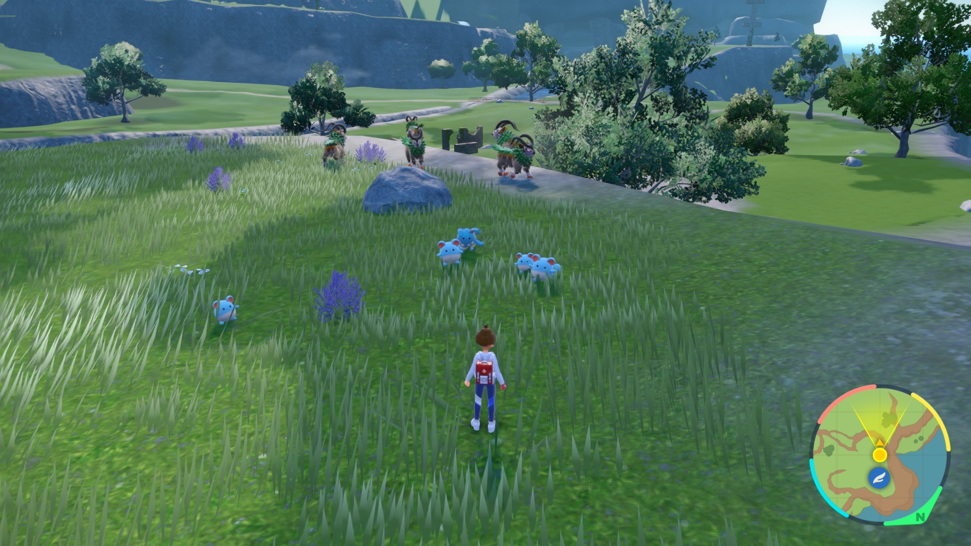 Azumarill Group